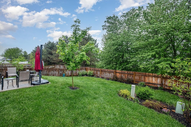 view of yard with a patio