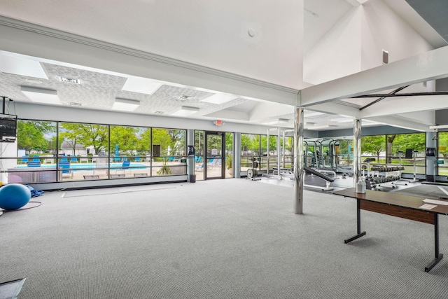 5176 Lodi Dr Unit 26B, Canal Winchester, OH 43110 - exercise room with carpet floors