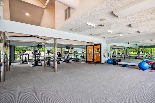 5176 Lodi Dr Unit 26B, Canal Winchester, OH 43110 - exercise room featuring carpet floors and a towering ceiling