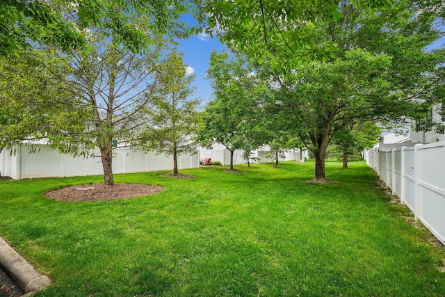 5176 Lodi Dr Unit 26B, Canal Winchester, OH 43110 - view of yard