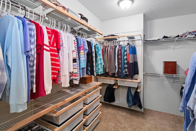 3687 Foresta Grand Dr, Powell, OH 43065 - spacious closet featuring carpet floors