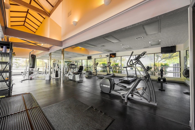 4618 Parrau Dr Unit 72B, Columbus, OH 43228 - gym with healthy amount of natural light