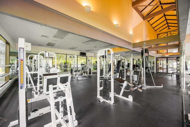 4618 Parrau Dr Unit 72B, Columbus, OH 43228 - view of workout area