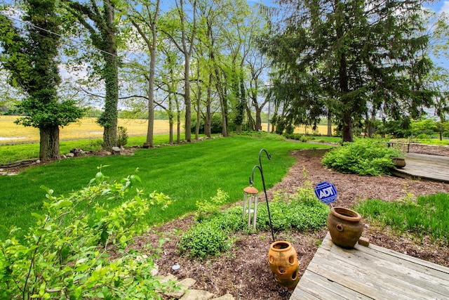 251 Longbranch Dr, Dublin, OH 43017 - view of grassy yard