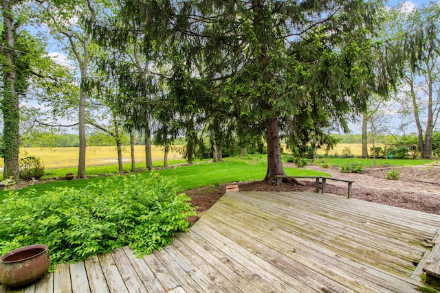 251 Longbranch Dr, Dublin, OH 43017 - wooden deck with a lawn