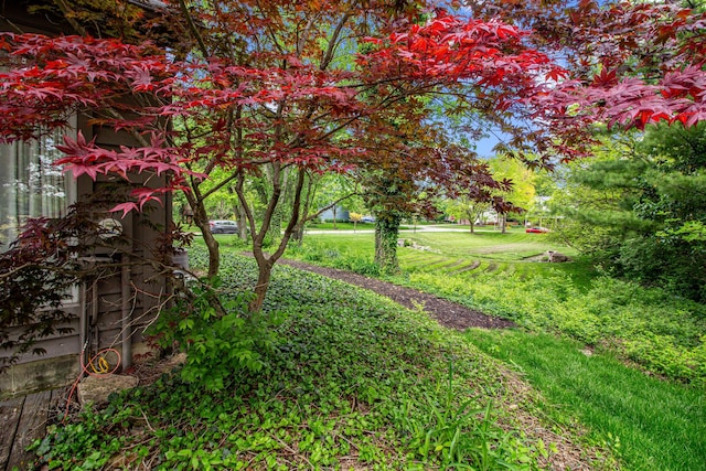 251 Longbranch Dr, Dublin, OH 43017 - view of yard