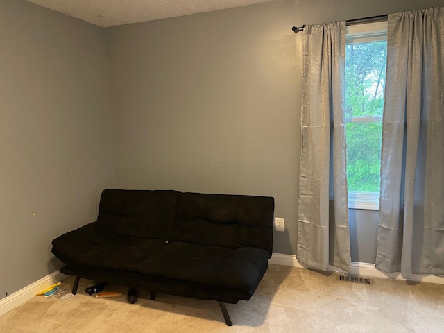 7719 Bear Run Rd, Logan, OH 43138 - living area featuring healthy amount of natural light, carpet floors, and baseboards