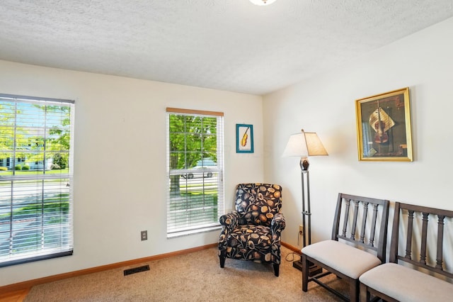 8380 Squad Dr, Galloway, OH 43119 - sitting room with carpet flooring, baseboards, and a textured ceiling