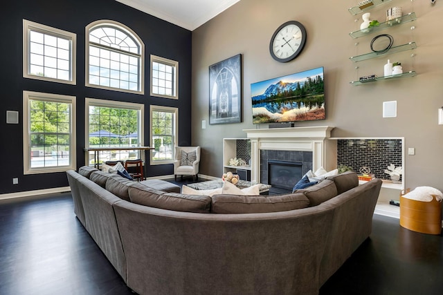 4166 Borge Way, Dublin, OH 43016 - living area with a fireplace, dark wood-style floors, baseboards, plenty of natural light, and ornamental molding