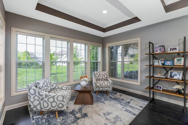 4166 Borge Way, Dublin, OH 43016 - sitting room featuring baseboards, a raised ceiling, ornamental molding, wood finished floors, and recessed lighting