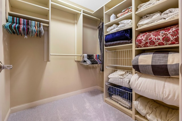4166 Borge Way, Dublin, OH 43016 - walk in closet featuring carpet