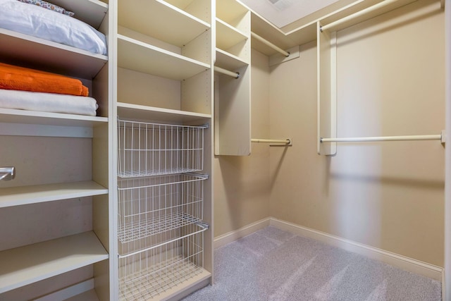 4166 Borge Way, Dublin, OH 43016 - walk in closet featuring carpet flooring