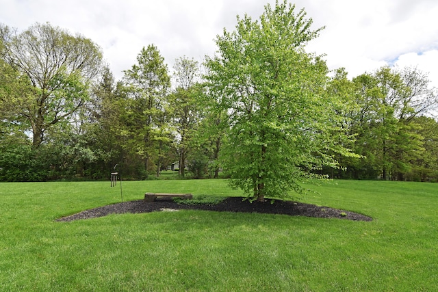 4166 Borge Way, Dublin, OH 43016 - view of grassy yard