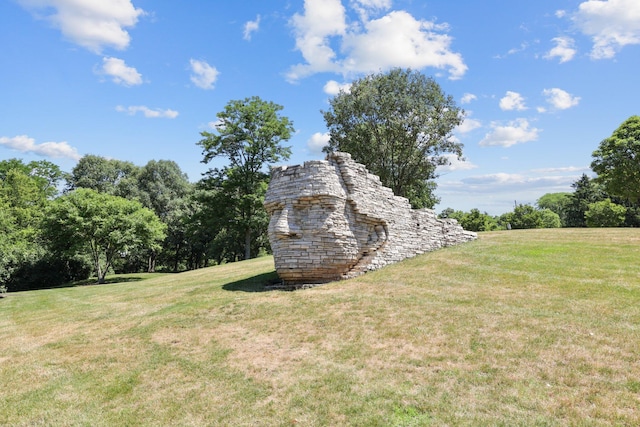 4166 Borge Way, Dublin, OH 43016 - view of grassy yard