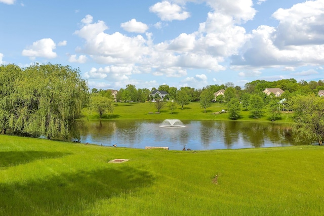 4166 Borge Way, Dublin, OH 43016 - water view