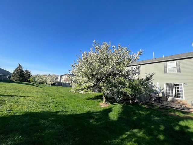 view of grassy yard featuring a patio area