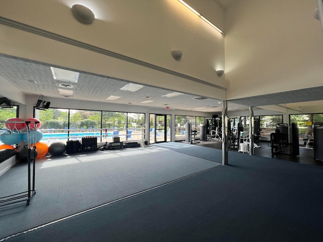 4102 Blendon Way Dr, Columbus, OH 43230 - gym with carpet flooring