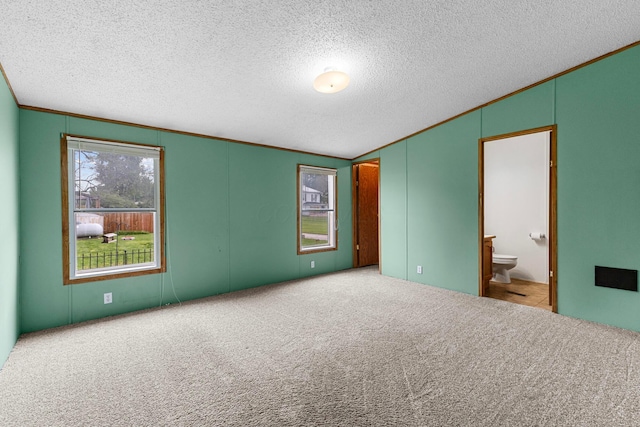 8164 Atlantic St, Caledonia, OH 43314 - empty room featuring a textured ceiling, lofted ceiling, carpet flooring, and crown molding