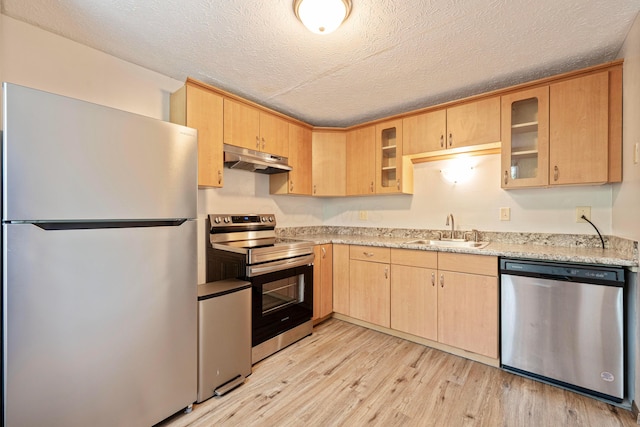 3860 Julia Ct, Columbus, OH 43230 - kitchen featuring appliances with stainless steel finishes, a sink, under cabinet range hood, light wood-type flooring, and glass insert cabinets