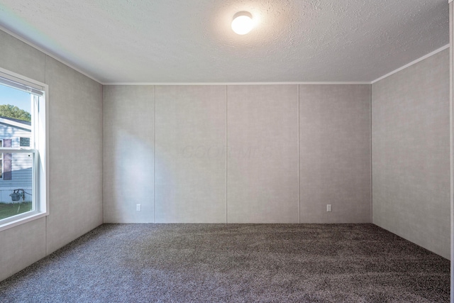 carpeted empty room featuring crown molding