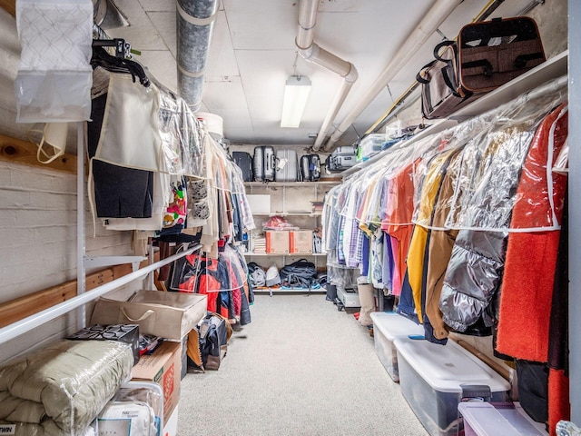 10 Park Dr, Columbus, OH 43209 - spacious closet with carpet floors