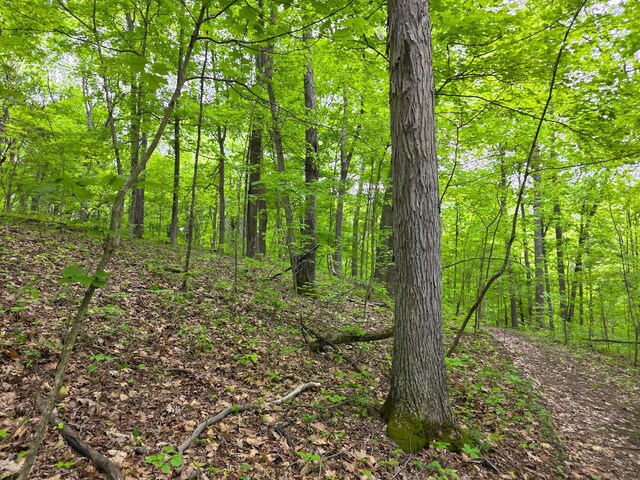 32119 Red Hill Rd (Countryside Cabin Big Timber), Countryside Cabin Big Timber Langsville, OH 45741