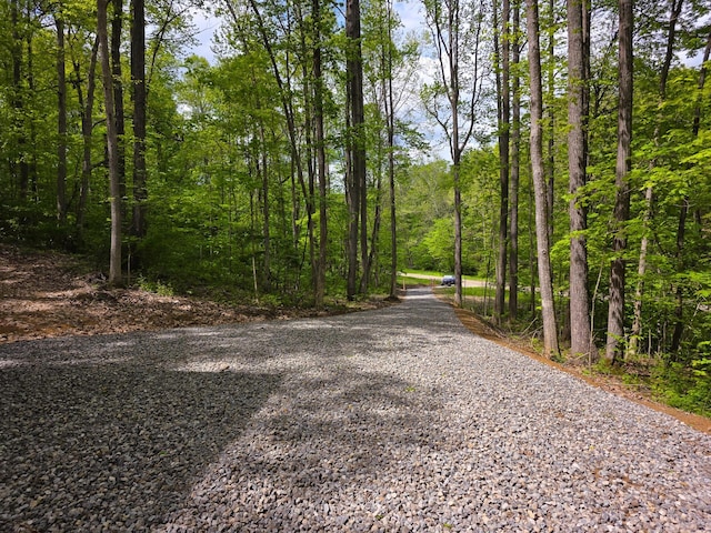 32119 Red Hill Rd (Countryside Cabin Big Timber), Countryside Cabin Big Timber Langsville, OH 45741