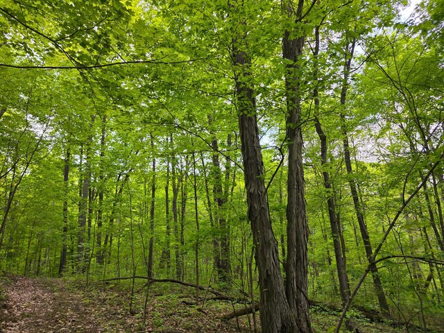 32119 Red Hill Rd (Countryside Cabin Big Timber), Countryside Cabin Big Timber Langsville, OH 45741