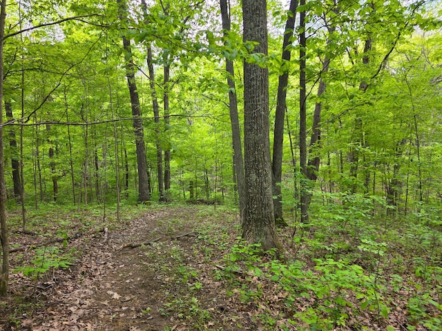 32119 Red Hill Rd (Countryside Cabin Big Timber), Countryside Cabin Big Timber Langsville, OH 45741