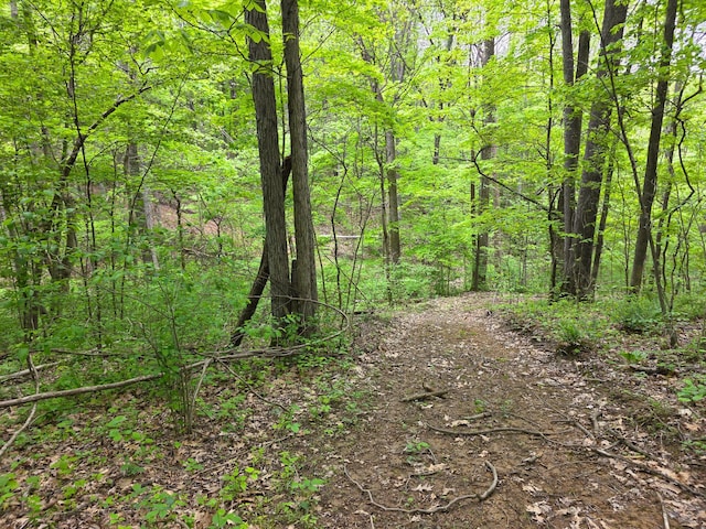 32119 Red Hill Rd (Countryside Cabin Big Timber), Countryside Cabin Big Timber Langsville, OH 45741