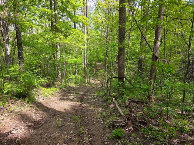 32119 Red Hill Rd (Countryside Cabin Big Timber), Countryside Cabin Big Timber Langsville, OH 45741