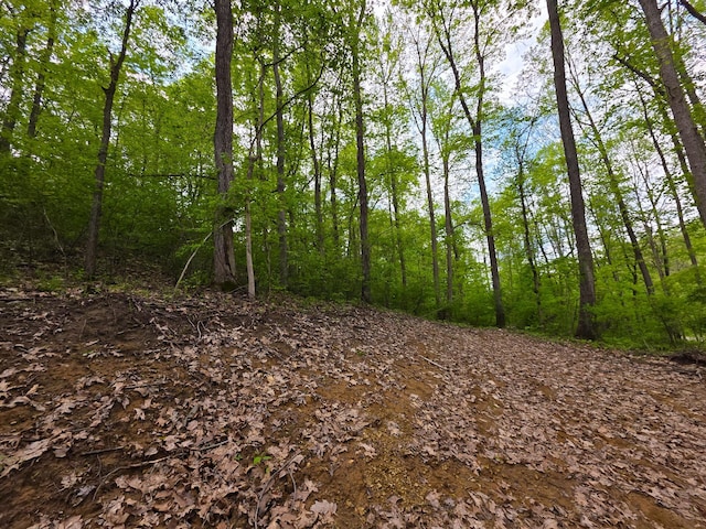 32119 Red Hill Rd (Countryside Cabin Big Timber), Countryside Cabin Big Timber Langsville, OH 45741