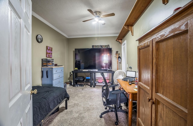 6010 Versailles Rd, Piqua, OH 45356 - carpeted bedroom with a desk, ornamental molding, and a textured ceiling