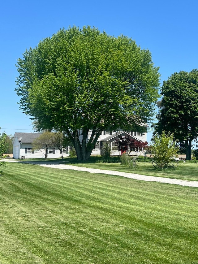 4638 US Highway 42, Cardington, OH 43315 - view of grassy yard