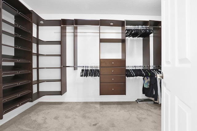 210 Carson Ct, Pickerington, OH 43147 - walk in closet with carpet