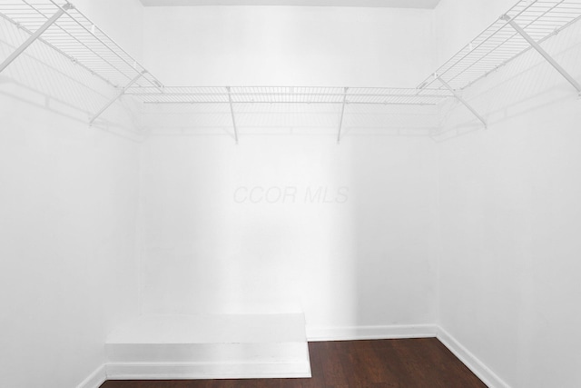 210 Carson Ct, Pickerington, OH 43147 - spacious closet with dark wood-style flooring