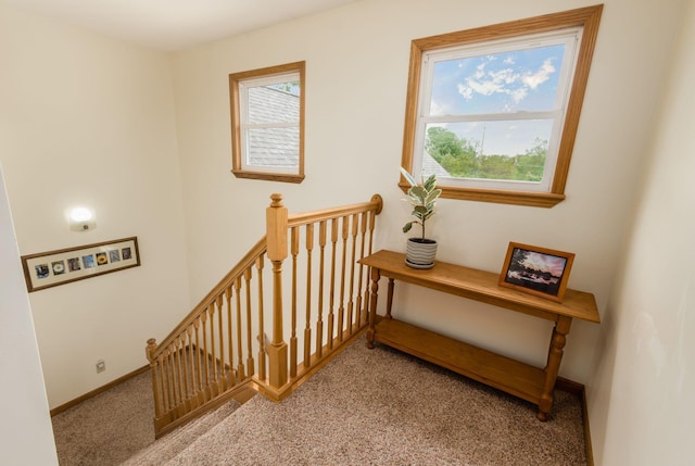 1380 E Choctaw Dr, London, OH 43140 - stairway with healthy amount of natural light, carpet, and baseboards