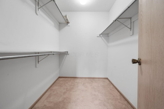 1272 Villa Oaks Ct, Columbus, OH 43230 - spacious closet with light colored carpet
