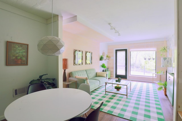 2215 Township Road 362 SE, Junction City, OH 43748 - living area with wood finished floors and rail lighting
