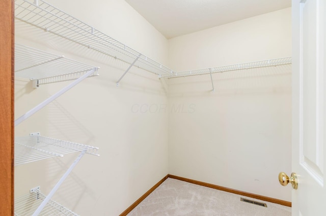 6710 Bethany Dr, Westerville, OH 43081 - photo 14