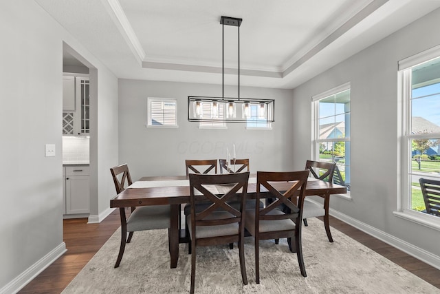 dining room with a raised ceiling, dark wood-style flooring, plenty of natural light, and crown molding