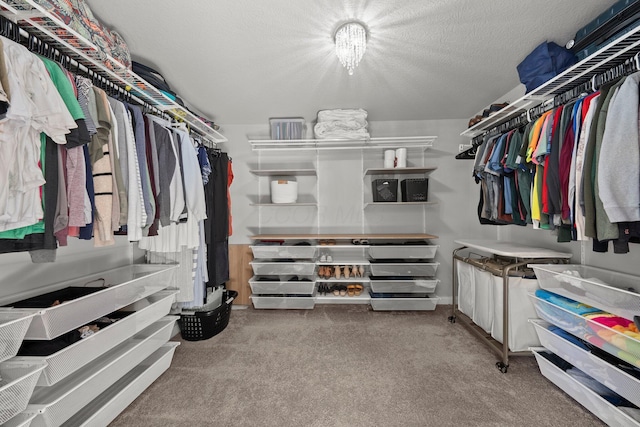 walk in closet featuring carpet floors