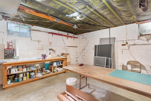 26976 Jackson Rd, Circleville, OH 43113 - below grade area featuring a workshop area and concrete block wall