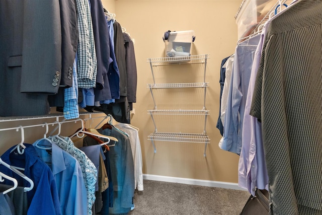 700 Ferguson Ave, Delaware, OH 43015 - walk in closet with carpet