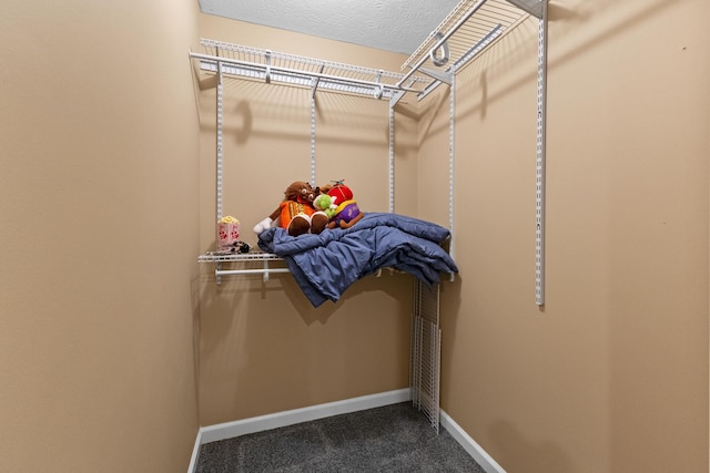 700 Ferguson Ave, Delaware, OH 43015 - spacious closet with dark colored carpet