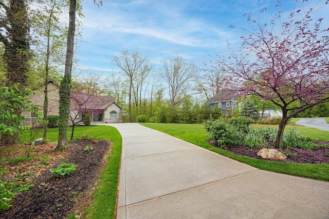surrounding community featuring driveway and a lawn
