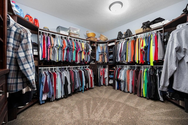 walk in closet with carpet