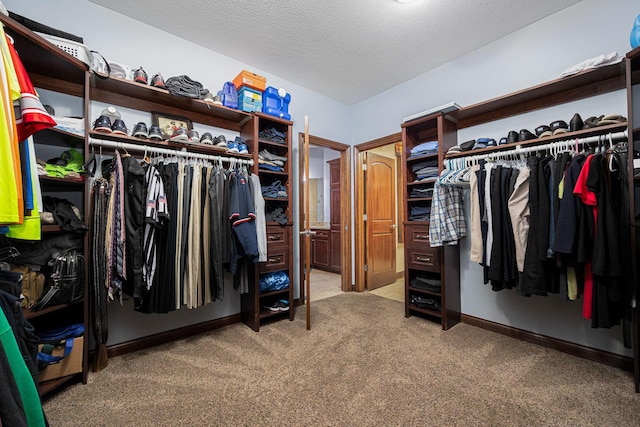 spacious closet featuring carpet floors