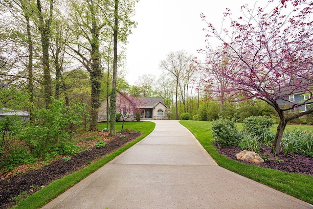view of community featuring a yard and driveway