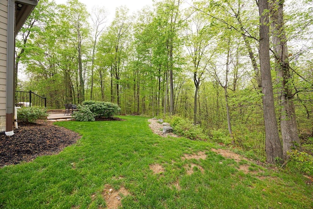 view of grassy yard